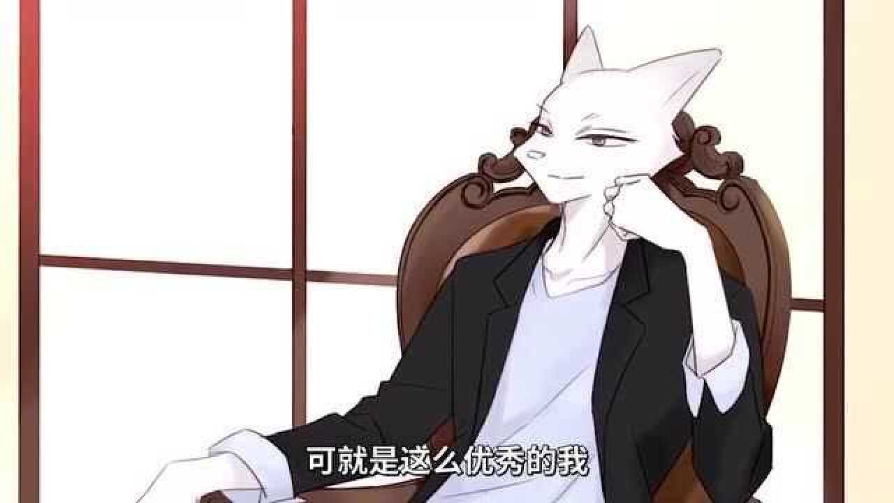 白狐沈珂珂爱情这种事只要努力就可以的