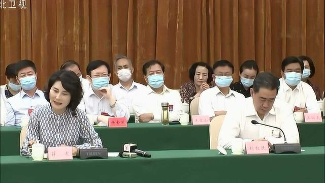 河北省人大常委会开展律师“一法一条例”专题询问