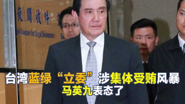 台湾“立委”集体贪腐大案曝光,马英九:应严查重罚相关“立委”