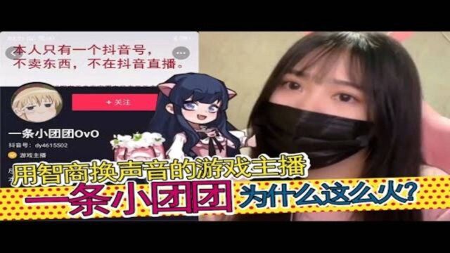 一条小团团为什么这么火?真的是用智商换声音?看完你就懂了!