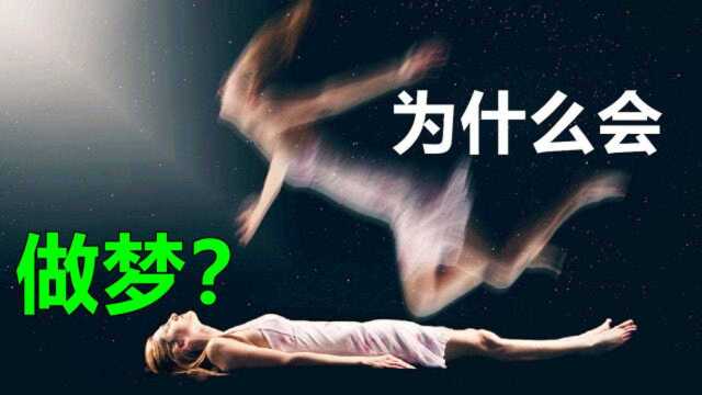 人为什么会做梦?每次做梦时,大脑到底发生了什么?