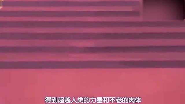 爱动漫:女王陛下太过宠爱米迦,什么事都会问米伽的意思,太甜了