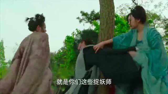 无心法师3:无心被王八壳束缚,青鸾瘦不拉几的,还想帮他砍啊