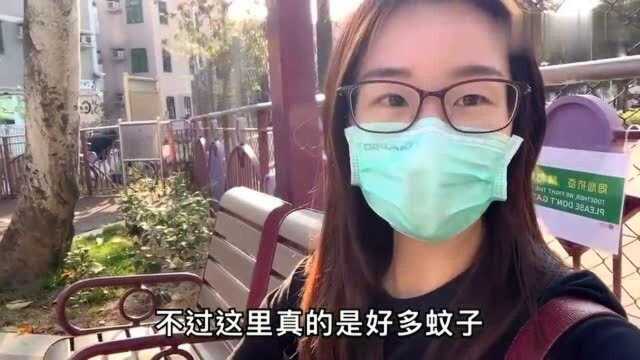 香港人的生活:儿子钢琴费用2340港币,一节课260元45分钟!