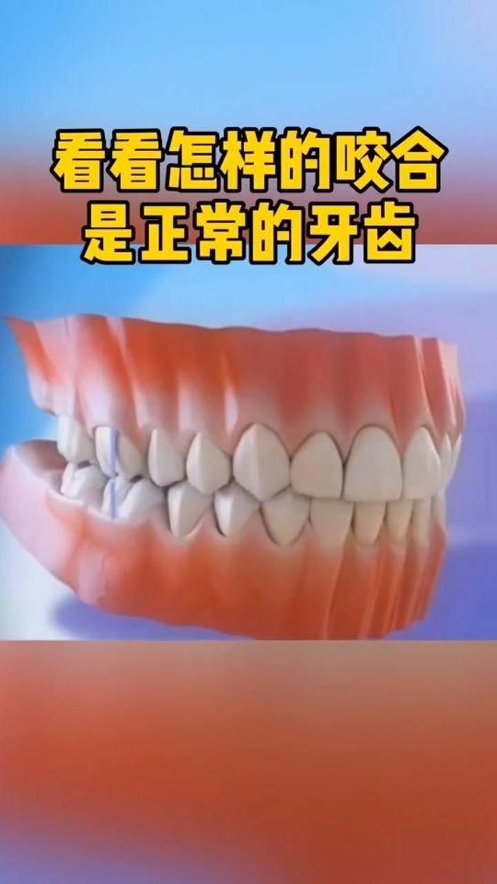 看看怎样的咬合是正常的牙齿 腾讯视频