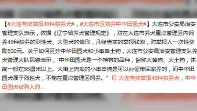 大连有奖举报禁养犬,中华田园犬被列入烈性犬种类?你怎么看