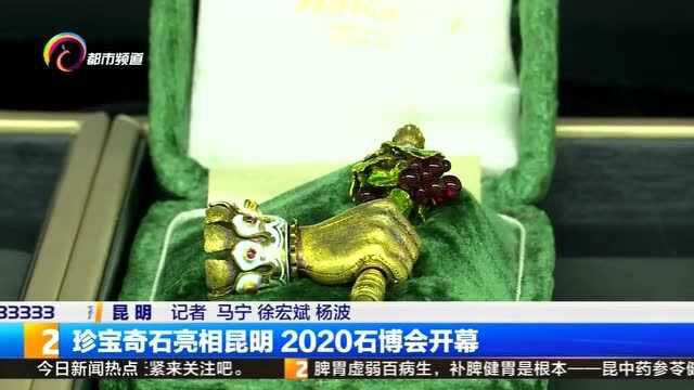 珍宝奇石亮相昆明 2020石博会开幕