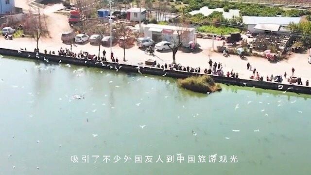 法国人:中国城市太离谱,靠香烟来致富,城市还以烟命名?