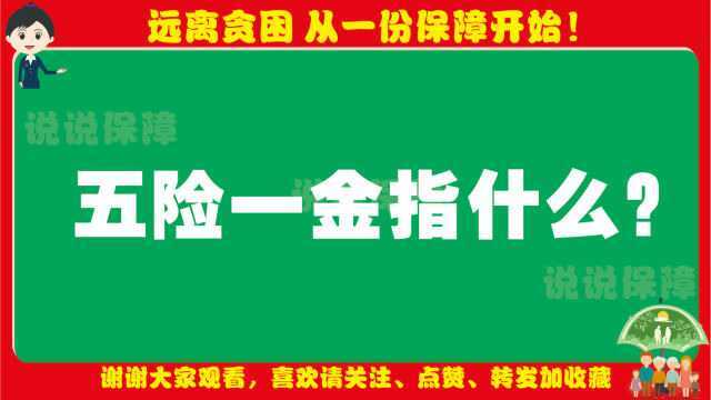 「社保小百科」五险一金指什么?