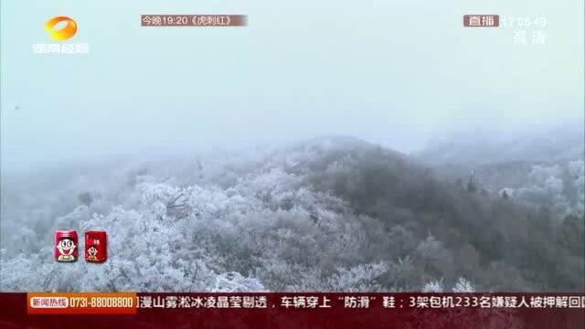 张家界天门山:零下2度现雾凇景观,部分景点关闭游道除冰