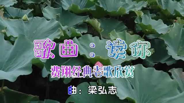 歌曲读你