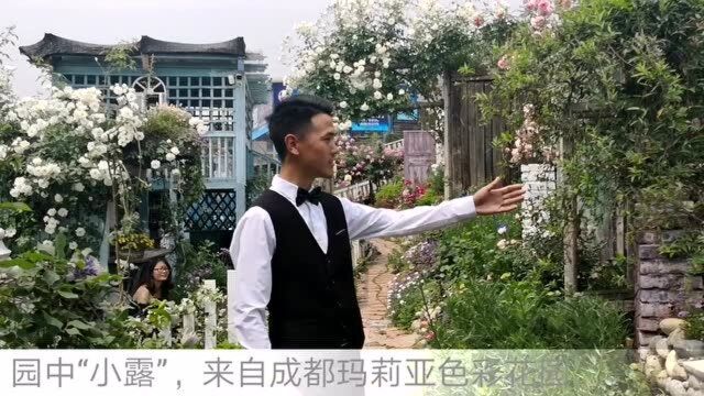 《走进私家花园》之园中“小露”来自成都玛莉亚色彩花园