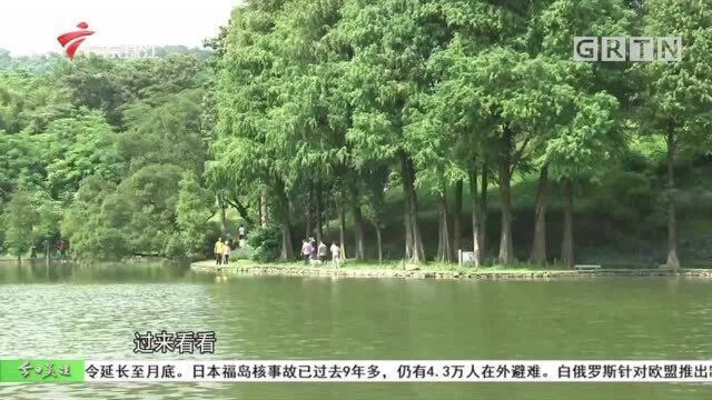 市民出游热情持续高涨 景区活动丰富多彩