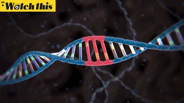 4分钟了解CRISPR基因编辑技术 看两位诺奖得主对人类贡献