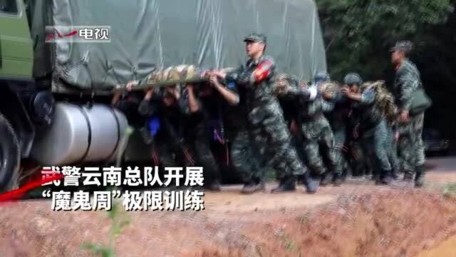 云南武警:山地丛林 锤炼特战尖兵