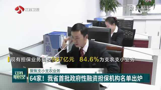 江苏首批政府性融资担保机构名单出炉 聚焦支农支小业务