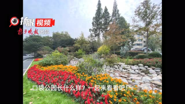 南京主城区的“口袋花园”什么样?200㎡的小区域也有假山流水凉亭