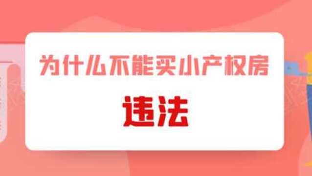 为什么不能买小产权房?房产专家:小产权房是不合法的