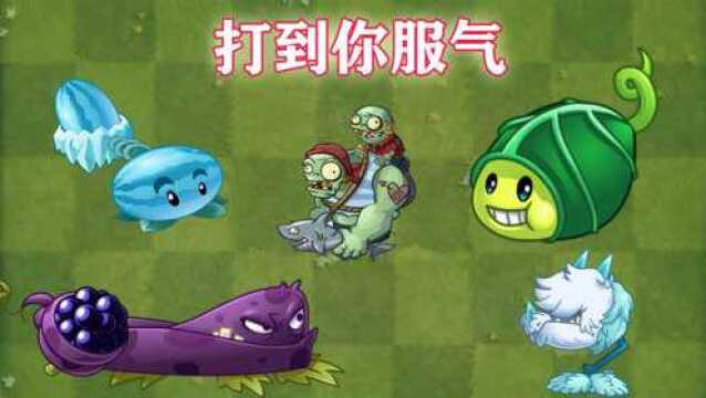 Pvz2大头僵尸:什么时候开始 植物都这么厉害了