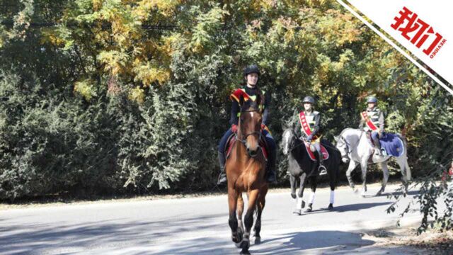 全国首条城市马道亮相北京 全长4.37公里可骑马观美景