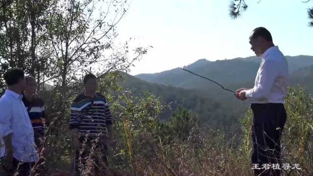 发丁十万人,元朝贵至太师,徐氏祖坟风水龙脉到底有何不一样?