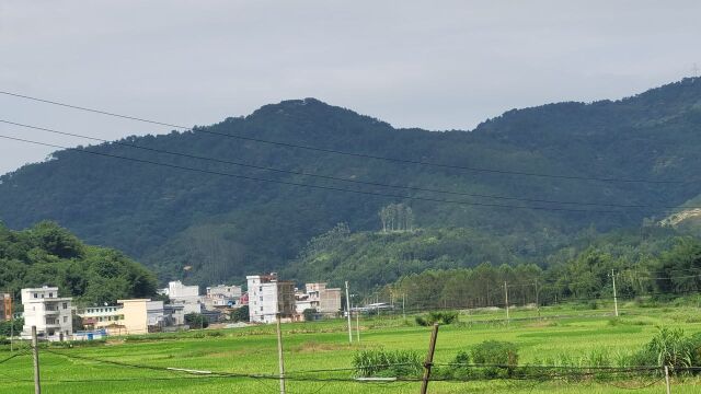 横龙结穴,双鬼尾结双地,明堂逆水旗鼓应富贵地.