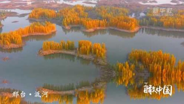 瞰中国|绚烂泜河之秋