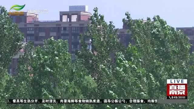 南京好天气“余额”不足 气温将搭上“过山车”