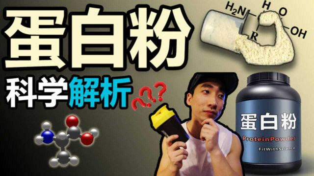 8min告诉你关于蛋白粉的一切!【14篇科学研究】【科学解析】