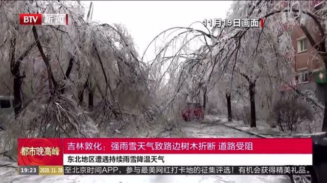 吉林敦化:强雨雪天气致路边树木折断 道路受阻