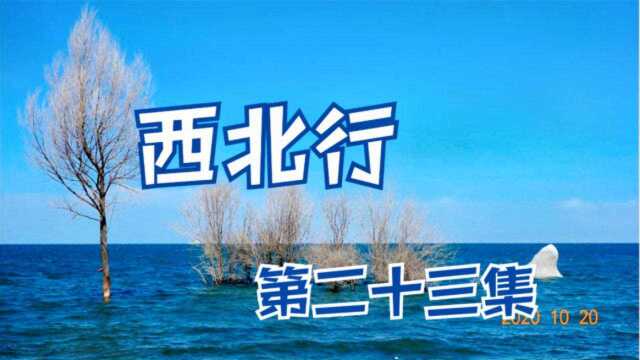 青海湖是中国最大的内陆咸水湖,位于青藏高原东北部、青海省境内,距西宁近