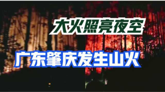 广东肇庆昨晚一山头起火,应急管理局:已扑灭,正浇水防止复燃