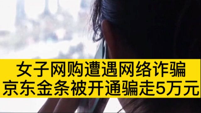 女子网购遭遇网络诈骗,京东金条被开通骗走5万元,女子指责京东提示不到位