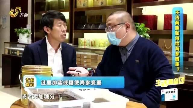 不法商贩如何给海参增加重量?专家现场讲解 教你辨别劣质海参