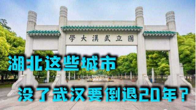 湖北这些“被放弃”的城市,没了武汉要倒退20年?网友:赶快直辖