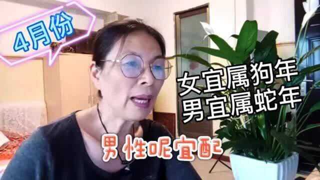 属虎的人是啥个性呀?与什么属相最配呢?快来围观吧