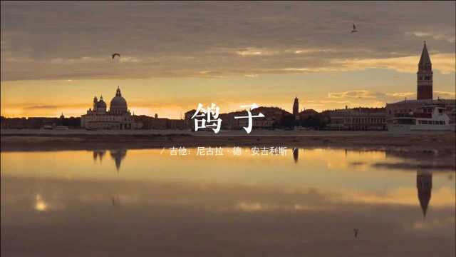 吉他曲《Pigeon 鸽子》浪漫的旋律,永恒的经典