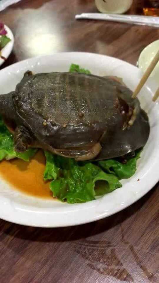 Thumbplayer Poster Plugin Image