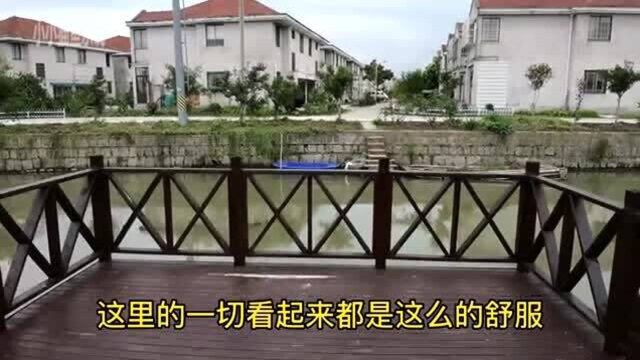 实拍繁华大上海农村,我们一起来看看究竟是什么样的?