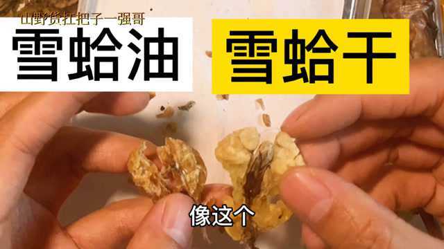 林蛙油蛤蟆油雪蛤油为啥要上千元一斤?