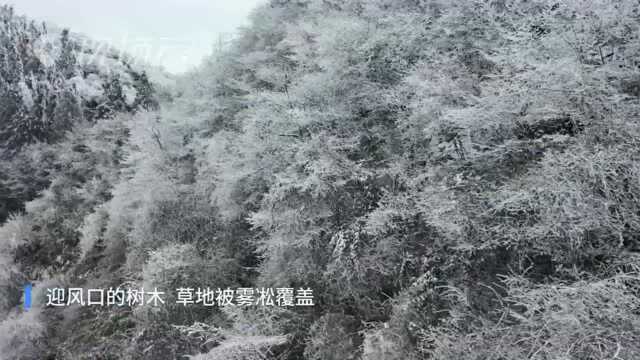 重庆丰都:南天湖景区冰雪美景醉游人