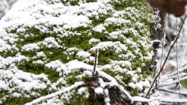 终于等到你| 富源部分地区迎来初雪!