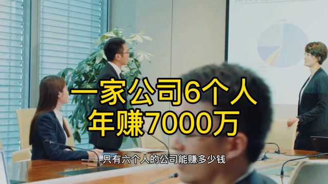 一家公司6个人,年赚7000万