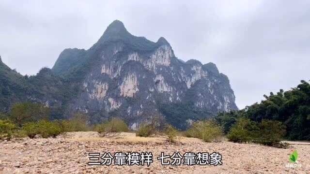 桂林阳朔九马画山,小月一匹马也没看出来,你能看出几匹马?