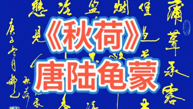 陆龟蒙《秋荷》,连续四个草字头不好写,你说怎么变化更好看?