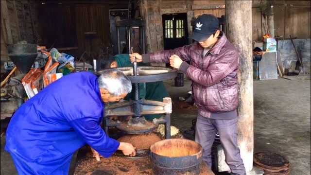 冬子今天榨茶籽油,拍下榨油的全过程,看看出油量怎么样