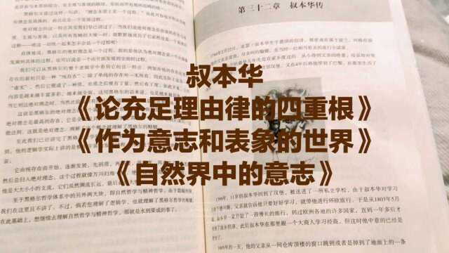 每天读书《西方哲学通史》,叔本华