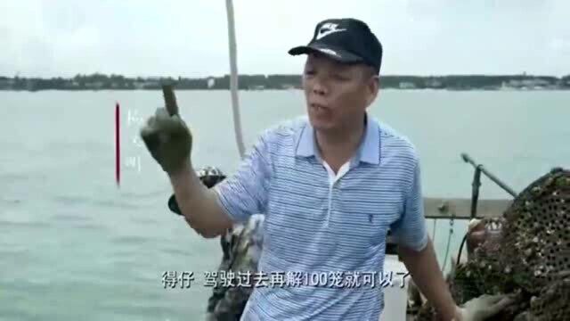 舌尖上的中国:制作瑶柱全过程,步骤复杂十分讲究,渔民的心血