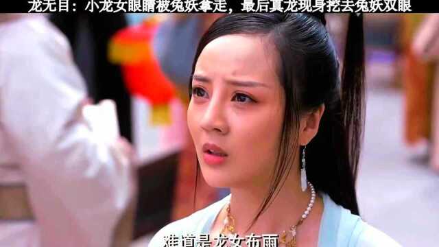 小龙女我的眼睛你要不起龙无目朱圣小龙女