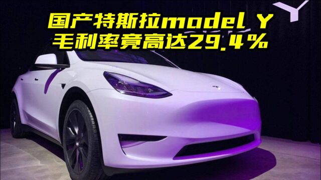 国产特斯拉Model Y利润空间有多大?还会降价吗?看完你就明白了